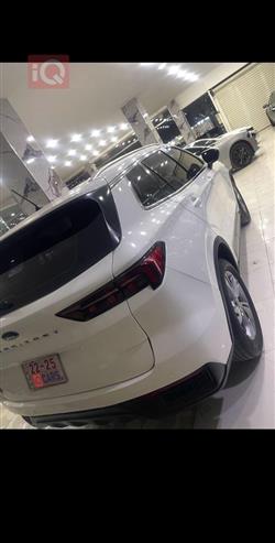 فورد تيريتوري